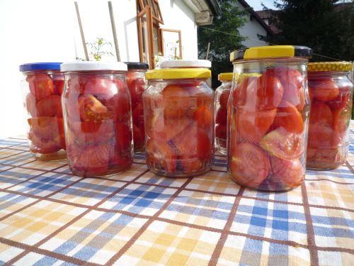 Jak zavařit rajčata, abyste je měli v zimě po ruce?